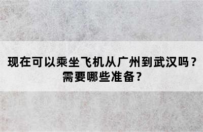 现在可以乘坐飞机从广州到武汉吗？需要哪些准备？