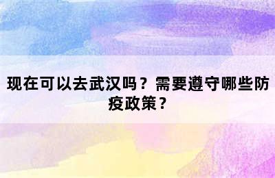 现在可以去武汉吗？需要遵守哪些防疫政策？