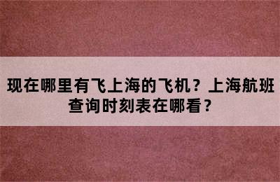 现在哪里有飞上海的飞机？上海航班查询时刻表在哪看？