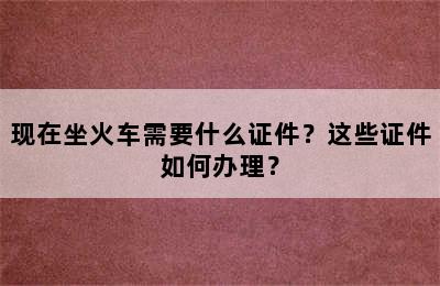 现在坐火车需要什么证件？这些证件如何办理？