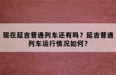 现在延吉普通列车还有吗？延吉普通列车运行情况如何？