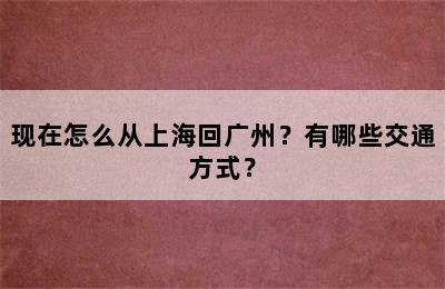 现在怎么从上海回广州？有哪些交通方式？