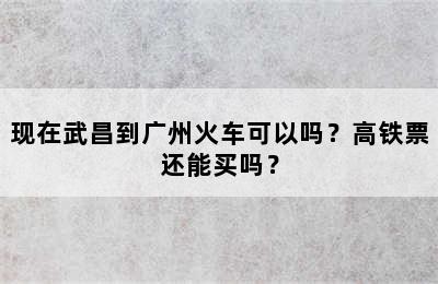现在武昌到广州火车可以吗？高铁票还能买吗？