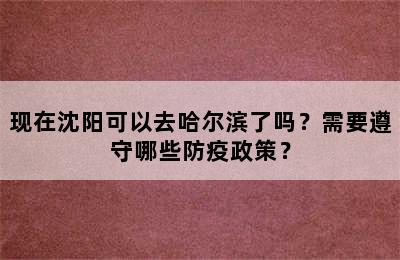 现在沈阳可以去哈尔滨了吗？需要遵守哪些防疫政策？