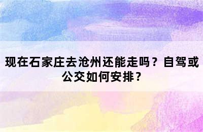 现在石家庄去沧州还能走吗？自驾或公交如何安排？