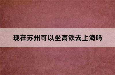 现在苏州可以坐高铁去上海吗