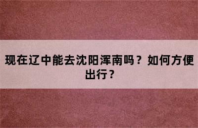 现在辽中能去沈阳浑南吗？如何方便出行？