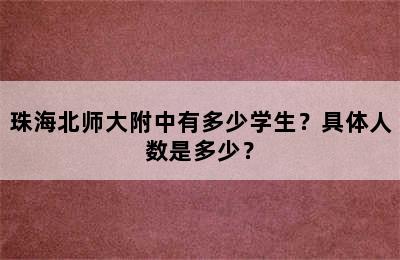 珠海北师大附中有多少学生？具体人数是多少？
