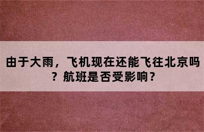由于大雨，飞机现在还能飞往北京吗？航班是否受影响？