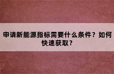 申请新能源指标需要什么条件？如何快速获取？