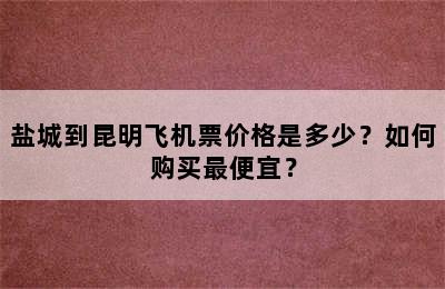 盐城到昆明飞机票价格是多少？如何购买最便宜？