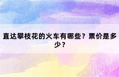 直达攀枝花的火车有哪些？票价是多少？
