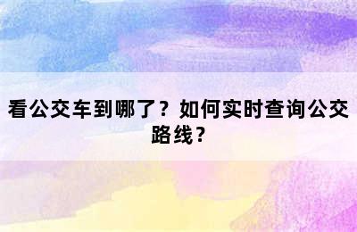 看公交车到哪了？如何实时查询公交路线？