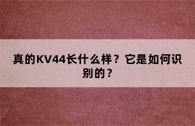 真的KV44长什么样？它是如何识别的？