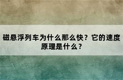 磁悬浮列车为什么那么快？它的速度原理是什么？