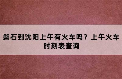 磐石到沈阳上午有火车吗？上午火车时刻表查询