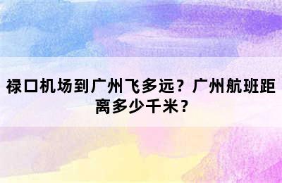 禄口机场到广州飞多远？广州航班距离多少千米？