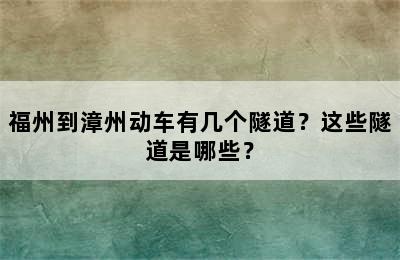 福州到漳州动车有几个隧道？这些隧道是哪些？