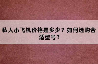 私人小飞机价格是多少？如何选购合适型号？