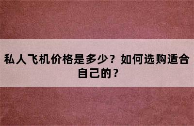 私人飞机价格是多少？如何选购适合自己的？