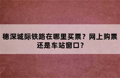 穗深城际铁路在哪里买票？网上购票还是车站窗口？