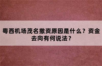 粤西机场茂名撤资原因是什么？资金去向有何说法？