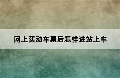 网上买动车票后怎样进站上车