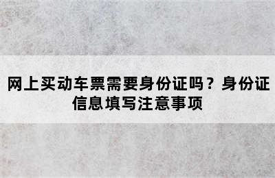 网上买动车票需要身份证吗？身份证信息填写注意事项