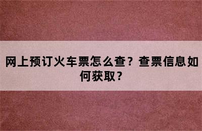 网上预订火车票怎么查？查票信息如何获取？