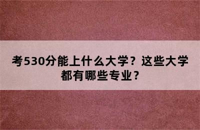考530分能上什么大学？这些大学都有哪些专业？