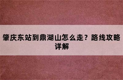 肇庆东站到鼎湖山怎么走？路线攻略详解