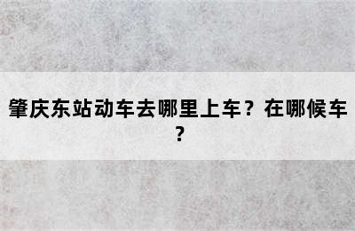 肇庆东站动车去哪里上车？在哪候车？
