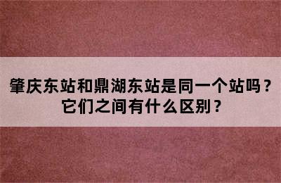 肇庆东站和鼎湖东站是同一个站吗？它们之间有什么区别？