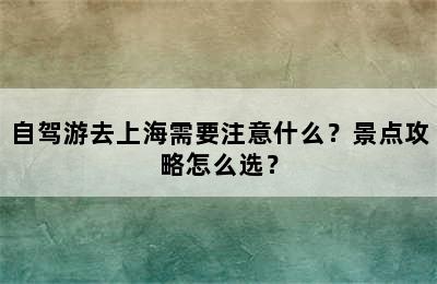 自驾游去上海需要注意什么？景点攻略怎么选？