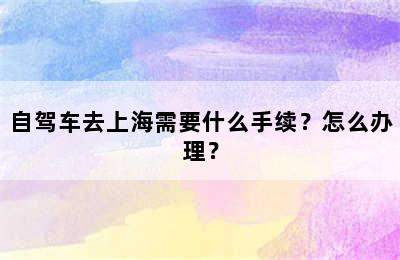 自驾车去上海需要什么手续？怎么办理？