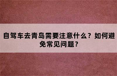 自驾车去青岛需要注意什么？如何避免常见问题？