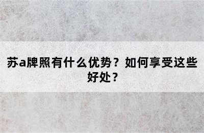 苏a牌照有什么优势？如何享受这些好处？