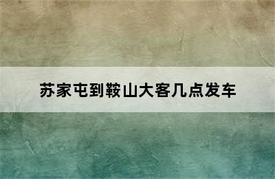 苏家屯到鞍山大客几点发车