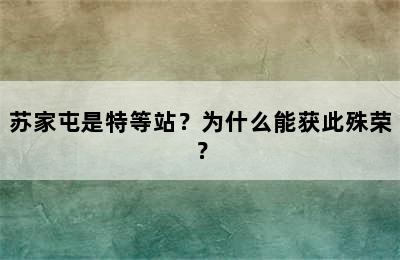苏家屯是特等站？为什么能获此殊荣？