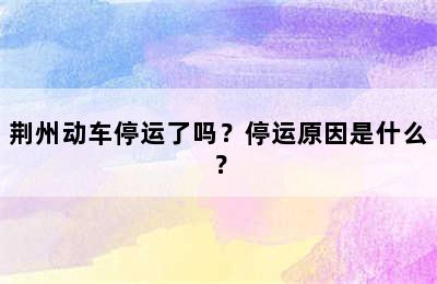 荆州动车停运了吗？停运原因是什么？
