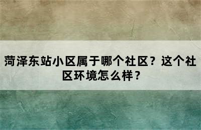 菏泽东站小区属于哪个社区？这个社区环境怎么样？