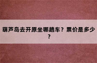 葫芦岛去开原坐哪趟车？票价是多少？