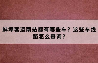蚌埠客运南站都有哪些车？这些车线路怎么查询？