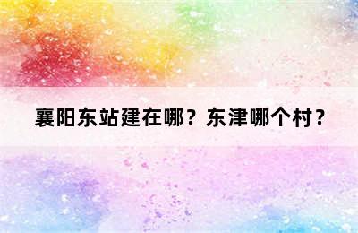 襄阳东站建在哪？东津哪个村？