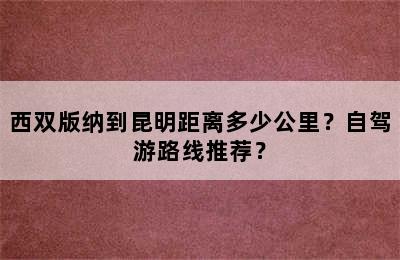 西双版纳到昆明距离多少公里？自驾游路线推荐？