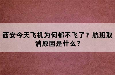 西安今天飞机为何都不飞了？航班取消原因是什么？