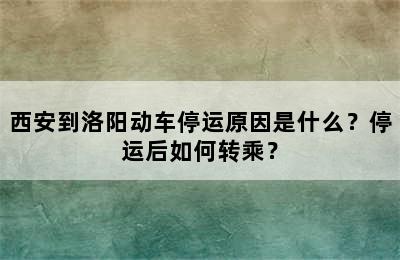西安到洛阳动车停运原因是什么？停运后如何转乘？