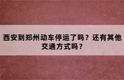 西安到郑州动车停运了吗？还有其他交通方式吗？