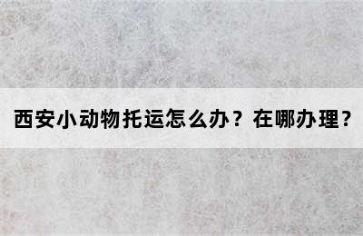 西安小动物托运怎么办？在哪办理？