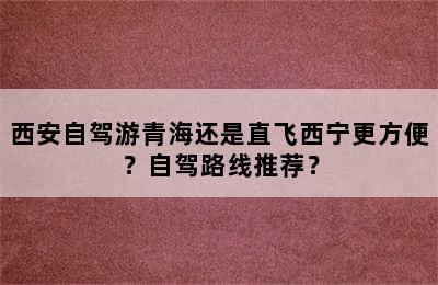 西安自驾游青海还是直飞西宁更方便？自驾路线推荐？